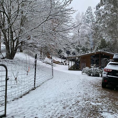 メリジグ Alpine Creek Houseヴィラ エクステリア 写真